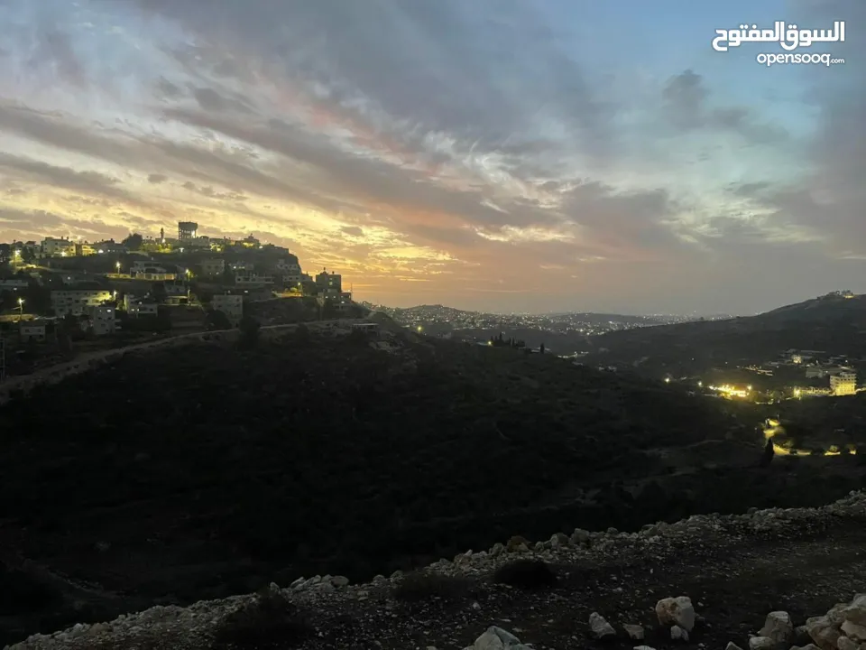 ارض للبيع نابلس الجديدة