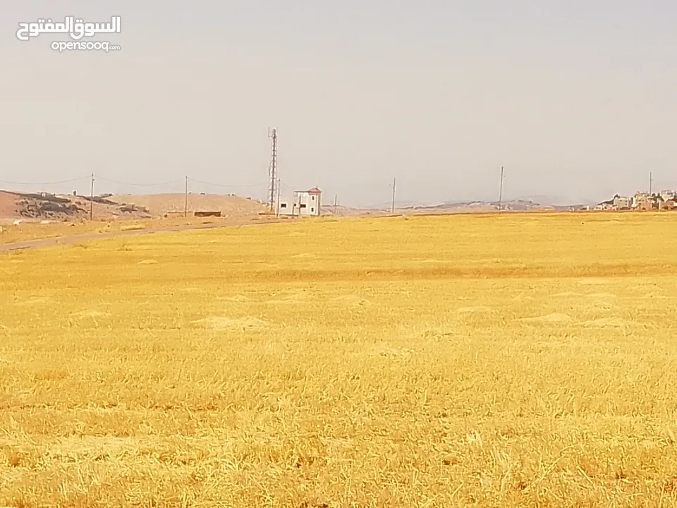 مادبا ماعين المشرفة قطعة ارض زراعية مميزة واصل الخدمات ذات اطلالة على البحر الميت واصل الخدمات