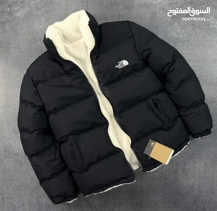 The north face jacket