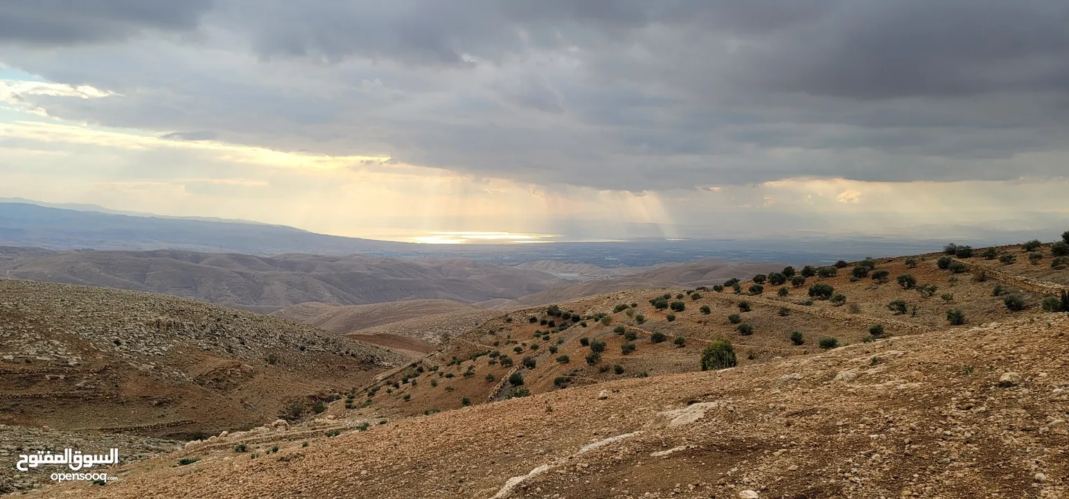 أرض مميزة مطلة على القدس  من أراضي غرب عمان للبيع