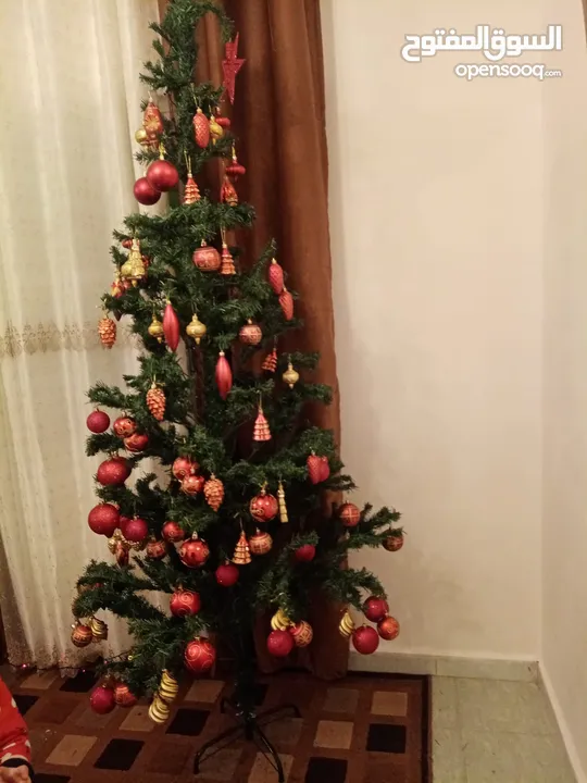 شجرة عيد الميلاد " كريسماس " Christmas tree for sale