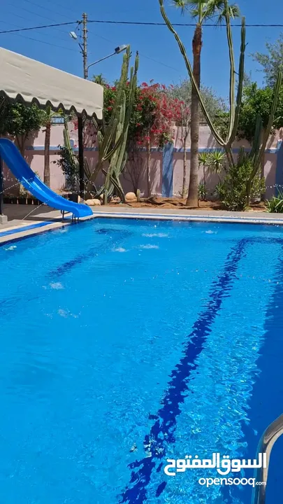 شاليه إستثماري مميز للبيع الفور أرقى المناطق شميساني الغور لقطة