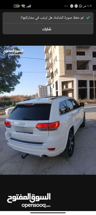 جيب فل كرتونه