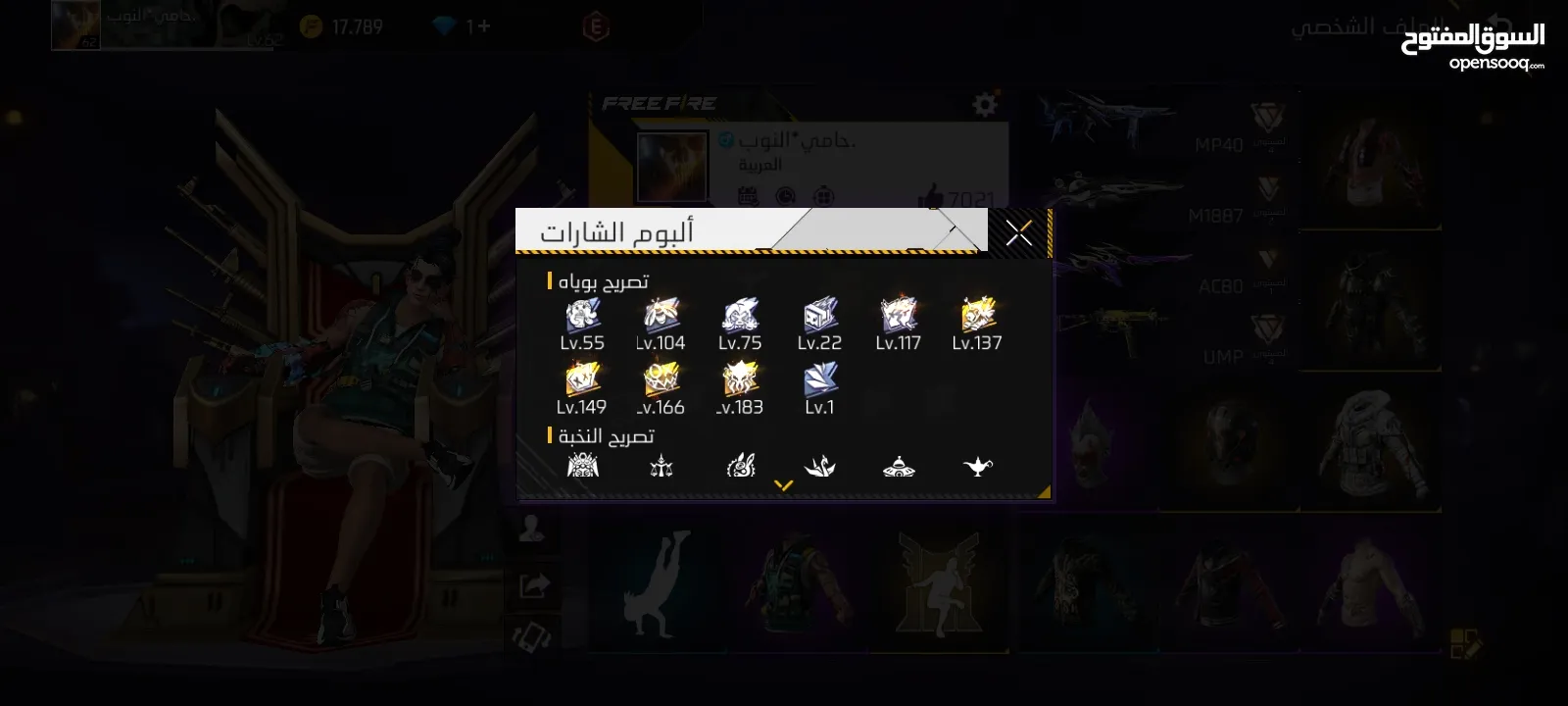 حساب فير باس 8 و 9 للبيع 60 دينار