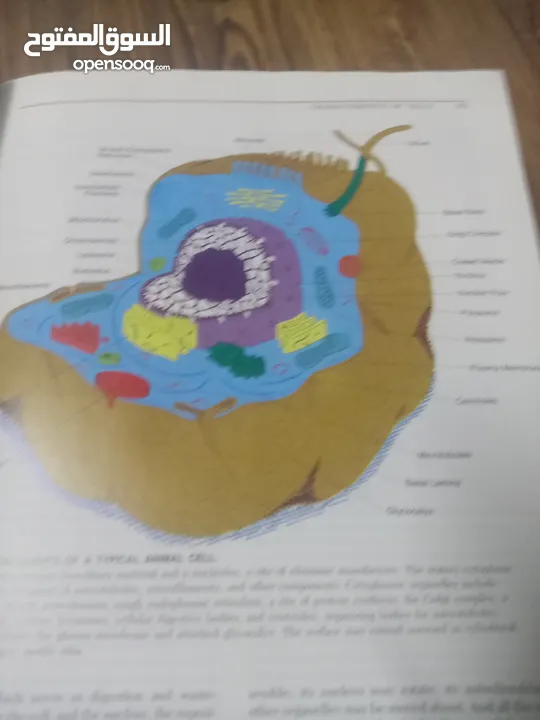 كتاب بعنوان biology