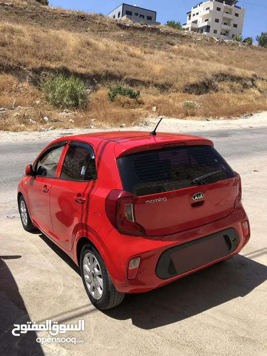 مورنينج بالكراتين بلون مميز