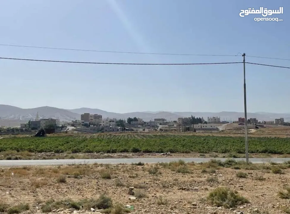 فرصة استثمارية في الزرقاء السخنه بسعر مغري