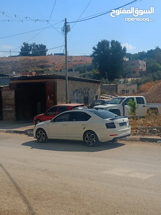 اوكتافيا حبه مميزه