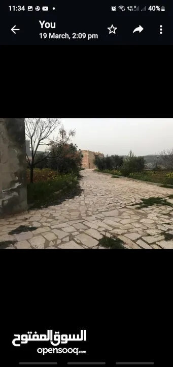 Farm for sale