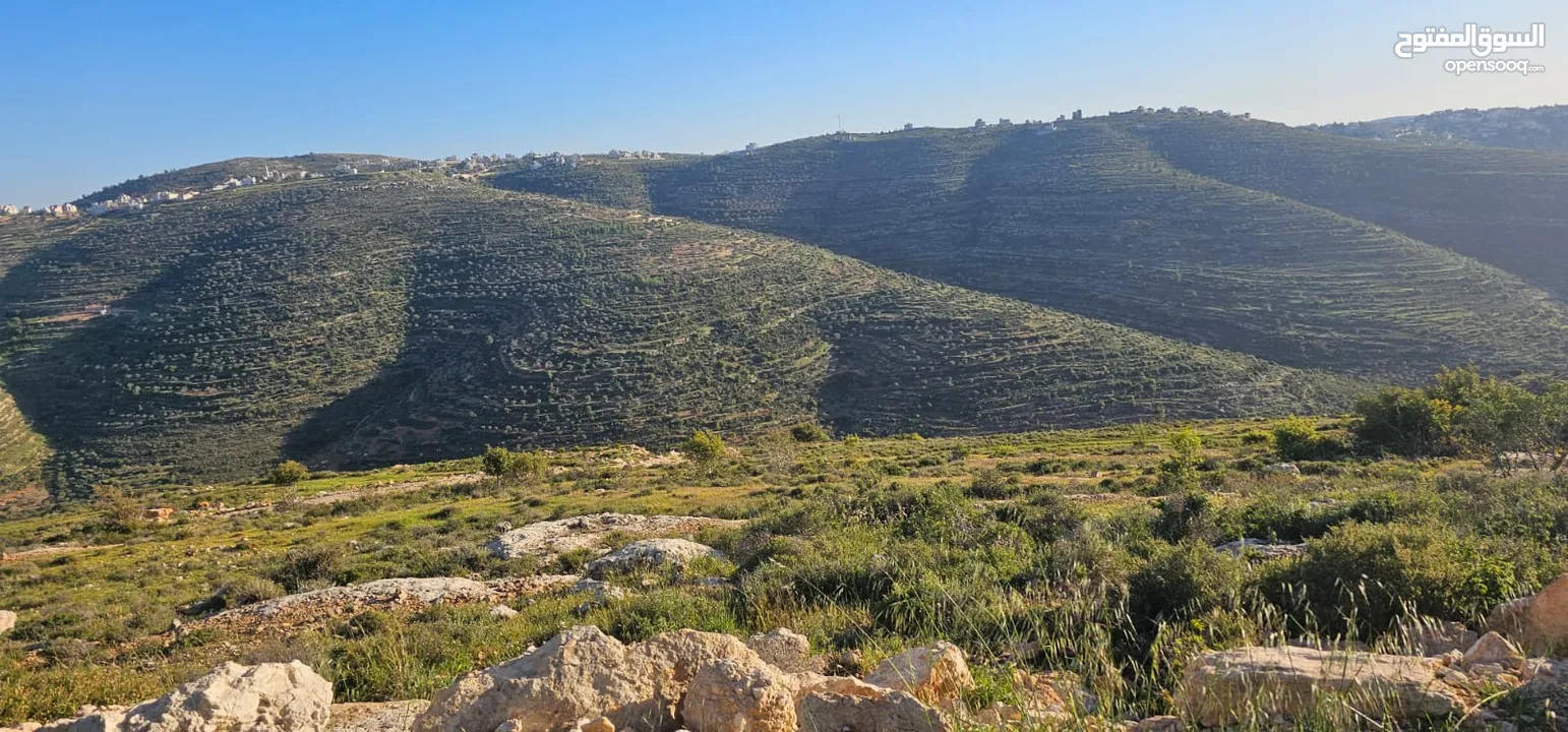 قطعة أرض للبيع من أراضي بلدة سنجل منطقة غرابة، مطلة على الساحل، منطقة A، قوشان طابو سلطة مستقل