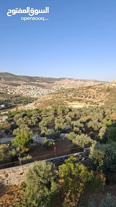مزرعة وشاليه في جرش
