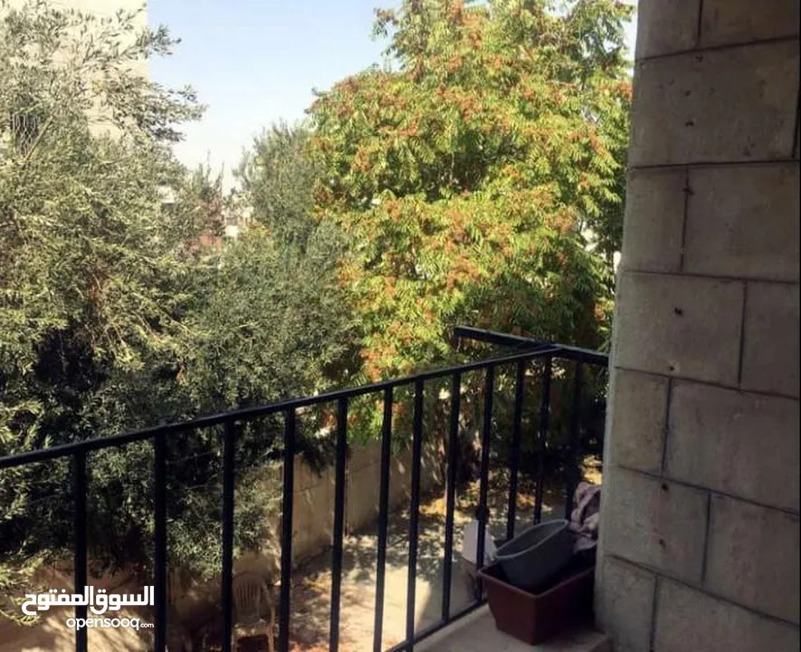شقه للإيجار الطابق الأول في جبل الحسين