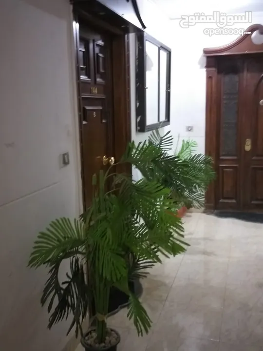 مفروشة لايجار  في زهراء المعادي على شارع الزهراء الرئيسى flat for rent