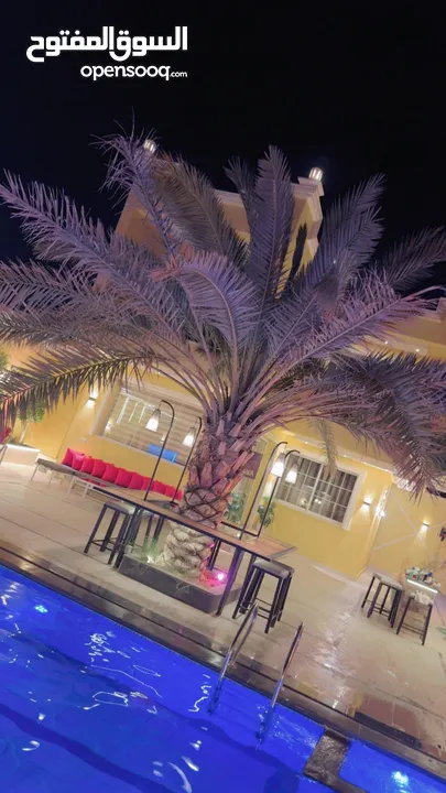 شاليه كرم وزيد للإيجار