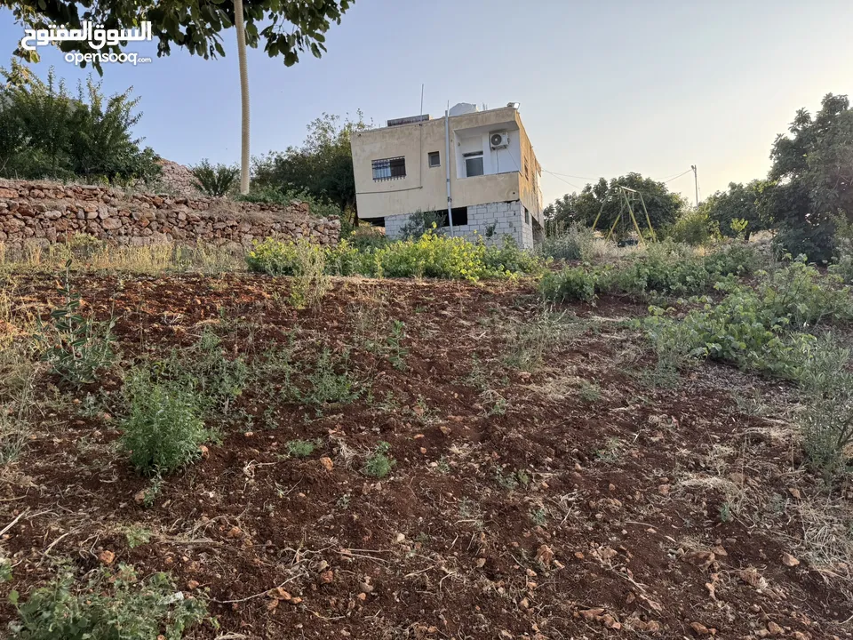 مزرعه للبيع / عجلون / رأس منيف