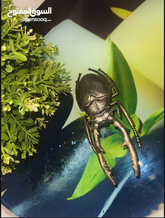 (Stag Beetle.)   خنفساء العملاقه ذات القرون