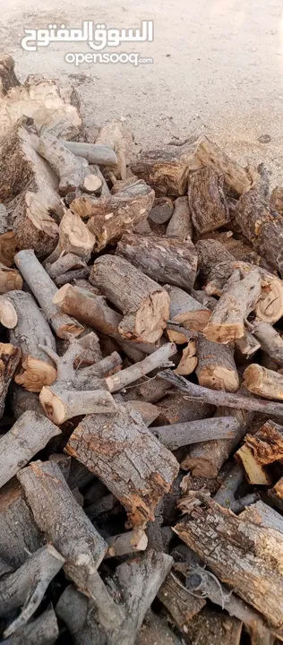 حطب زيتون زند وقرمي ناشف حطب لوزيات ناشف
