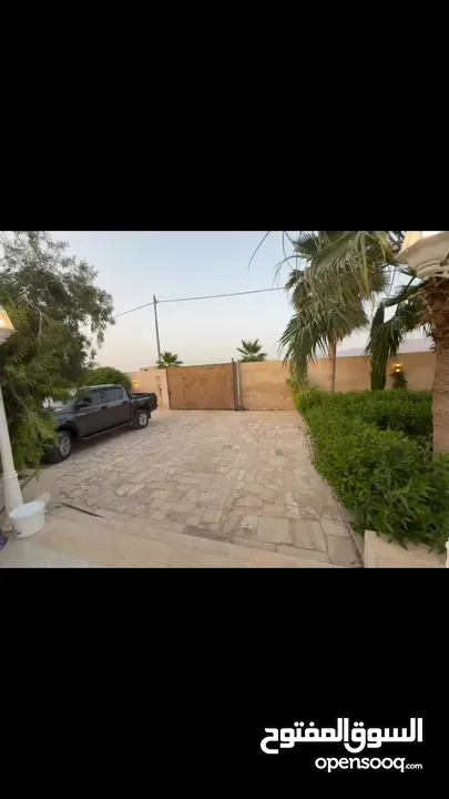 مزرعة نخيل مجهول مثمر ومنتج  + شاليه مودرن للبيع بأجمل مناطق الغور بالقرب من سد الكرامة 60 ك من عمان