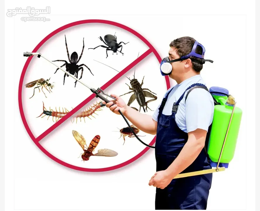 مكافحة الحشرات