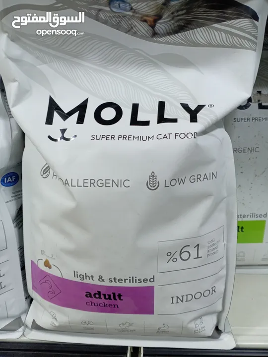 اكل قطط kitten molly 2k