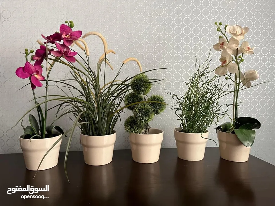 5 artificial plants