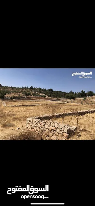 دنم ارض للبيع في السلط الصبيحي ميسره بالقرب من مطعم الطلع الغربيه