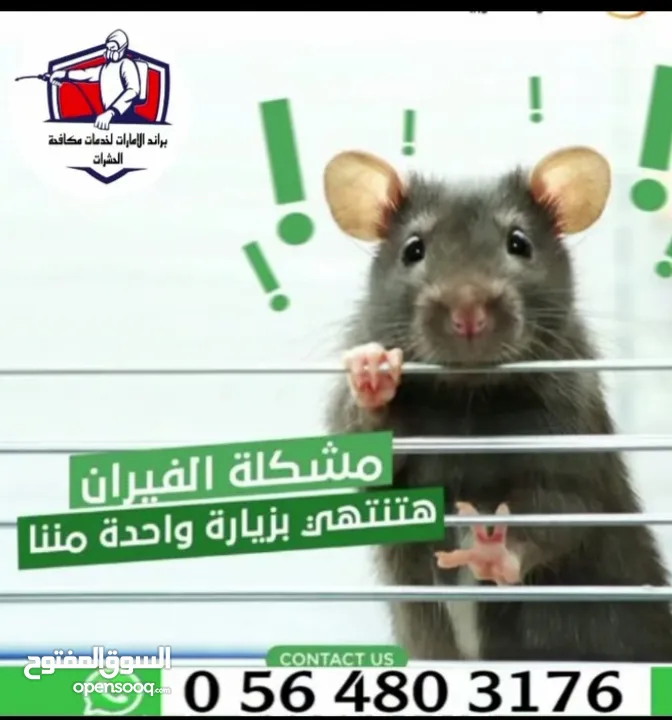 شركة مكافحة حشرات وأعمال الرمه وتركيب طارد الحمام