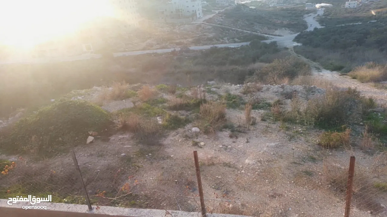 قطعة ارض للبيع في طولكرم بلدة فرعون