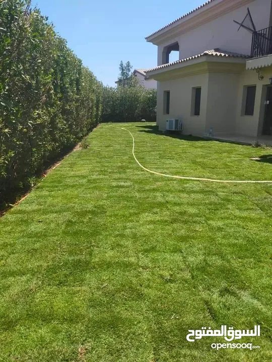 نجيل طبيعي وصناعي