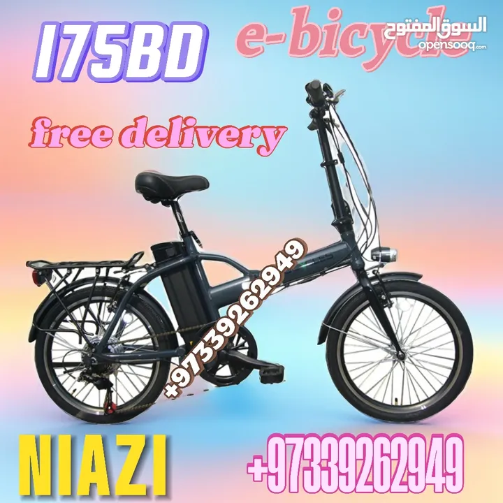 electric bicycle 2024