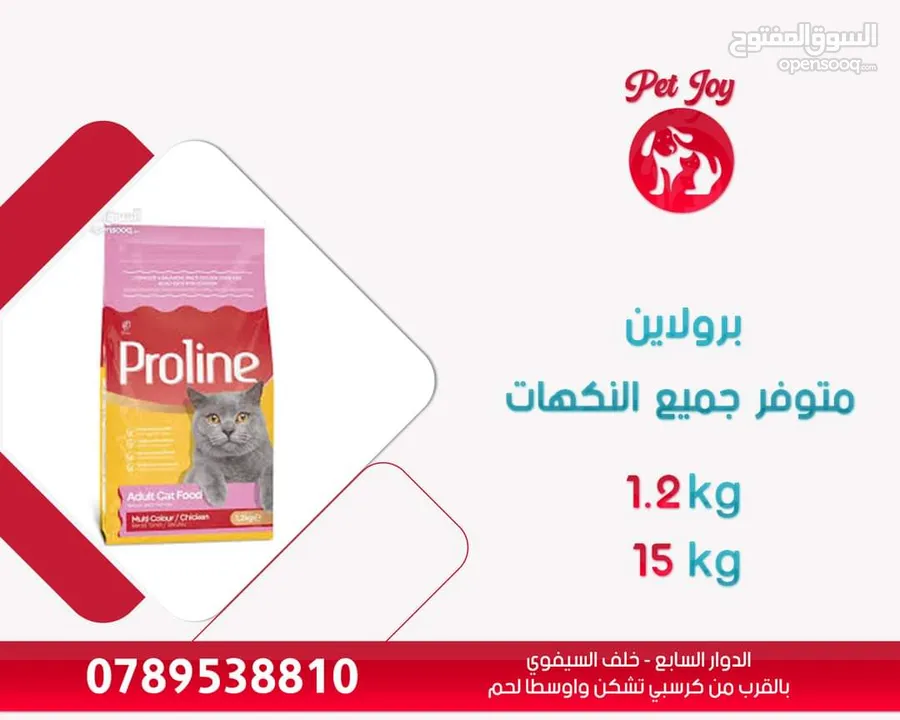 طعام قطط برولاين : قطط أخرى : عمان الدوار السابع (230921610)