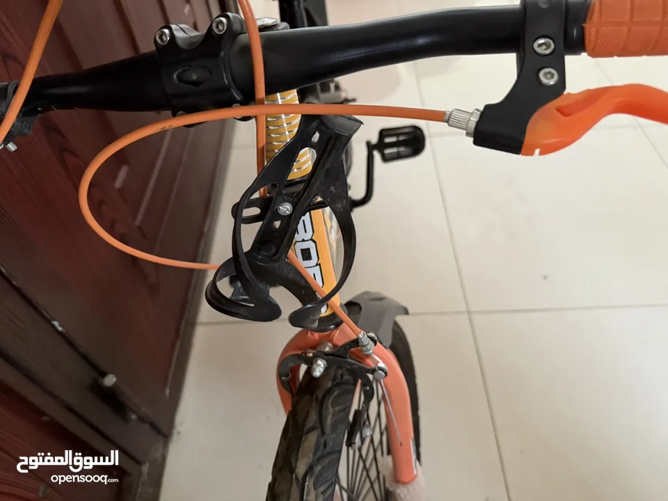Bicycle Orange and black