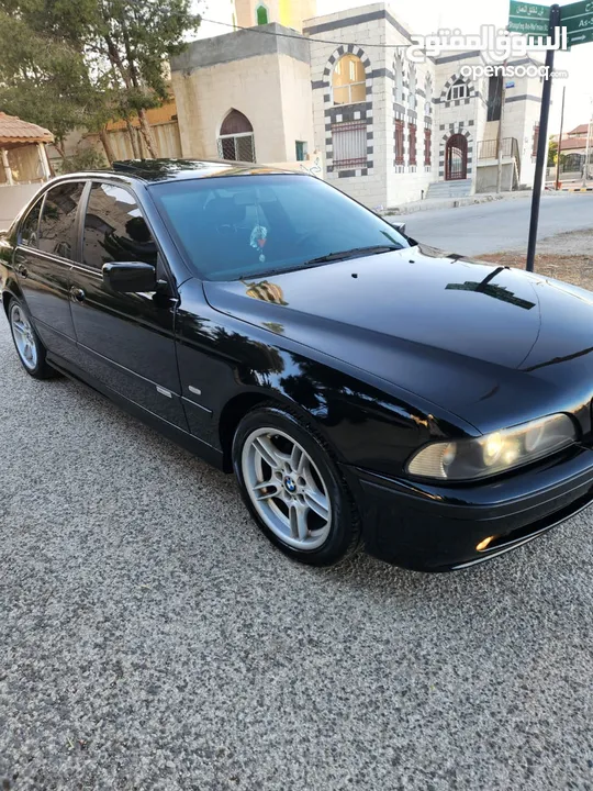 BMW E39 الدب