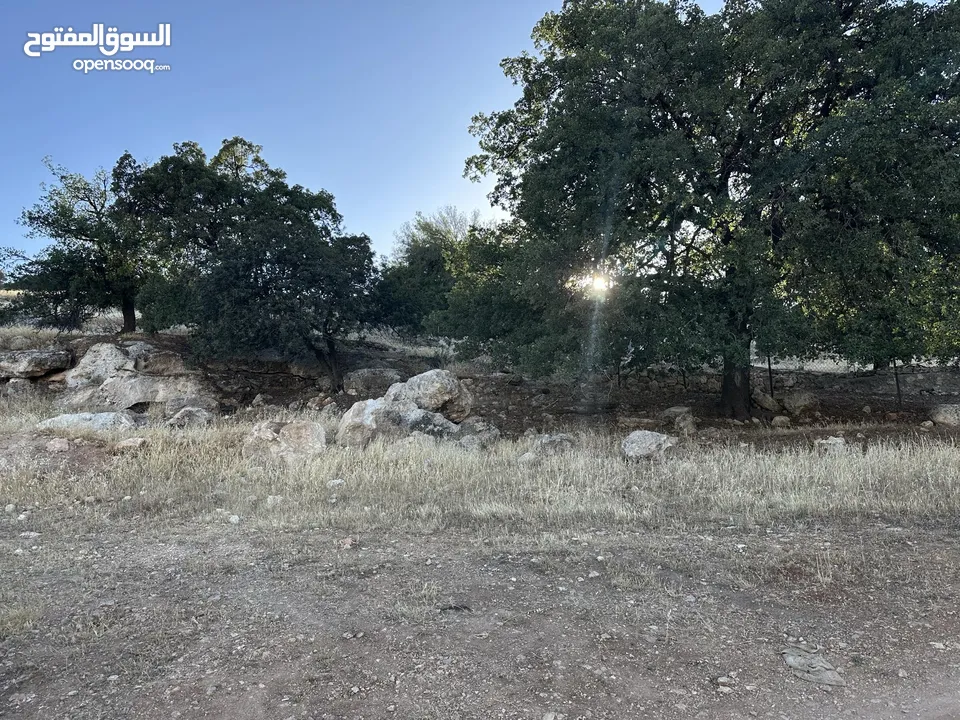 ارض للبيع أجمل مناطق وادي السير موقع هادئ ومطل  ممتاز للبناء أو الاستثمار من المالك مباشرة