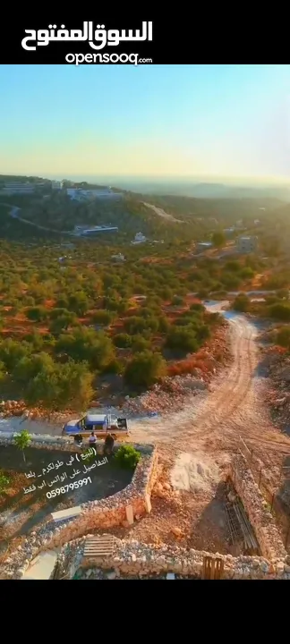 ارض مخصصه لإنشاء شاليه