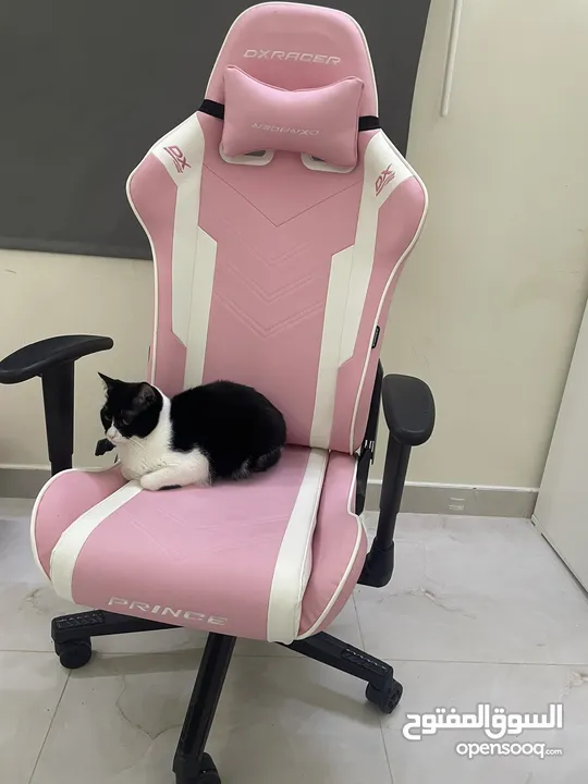 كرسي قيمنق  DXRACER  Gaming chair pink What?