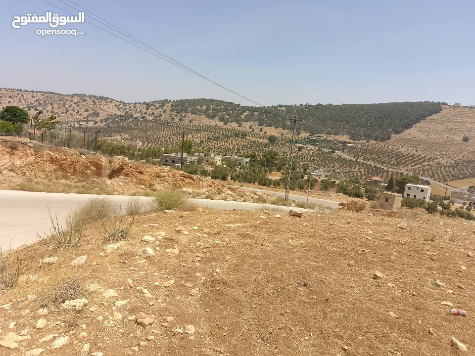 أرض للبيع  الكمشه