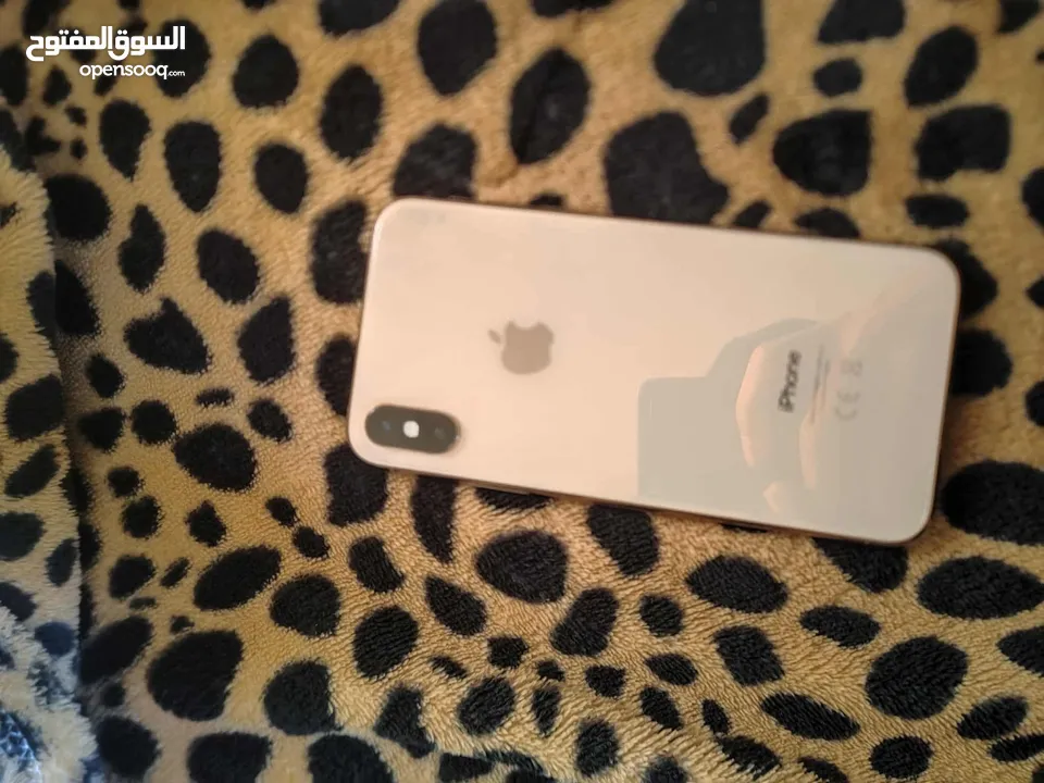 iPhone Xss