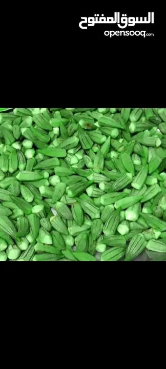 طبخات ومونت بيت جاهزة باي وكت. المأكولات الشهيه