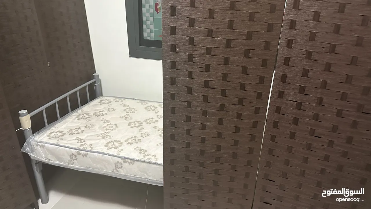 Executive bed space for rent in ewans in dip1 for Indians