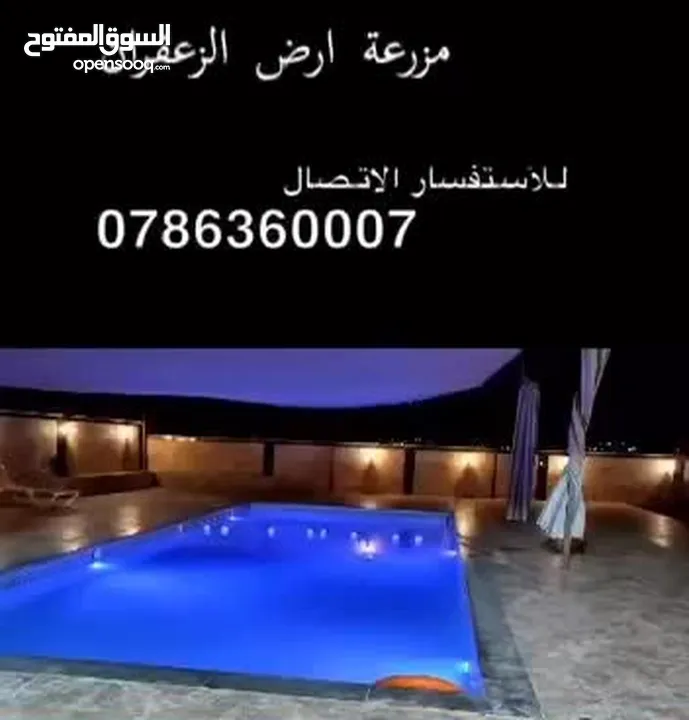 مزرعة وشاليه مزارع وشاليهات ارض الزعفران 2024