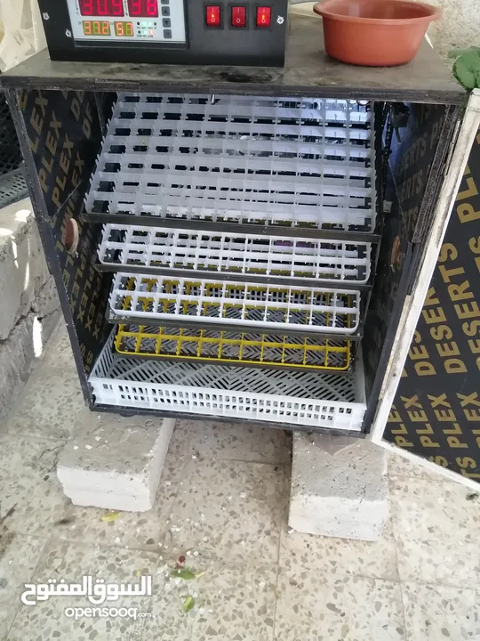 فقاسه للبيع 352 بيضه