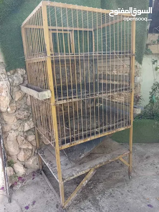 معدات محل دجاج للبيع بحالة ممتازة