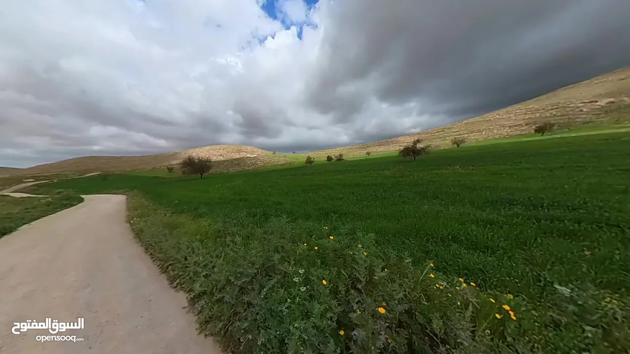تملك أرض في بدر الجديدة / 5 دونمات قوشان مستقل / حمرة الزيود
