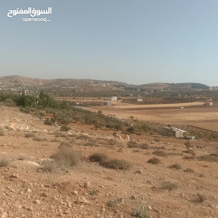 قطعة ارض شرق جرش مرويه من بئر ارتوازي مطله ومرتفعه بسعر مغري متوفر أكثر من 50 قطعه في نفس المنطقه