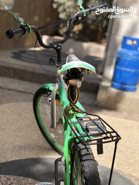 BMX-Lion 20