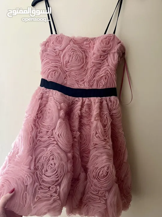 Pink Zara Dress فستان زارا