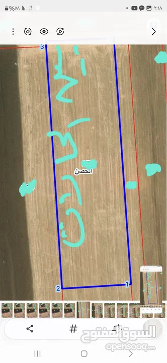 حوض 24 بين الحارات الحصن مساحة القطعه 12496 م2 شماليه شارع 12م واجهة 62 م قرب المزارع والخدمات  والا