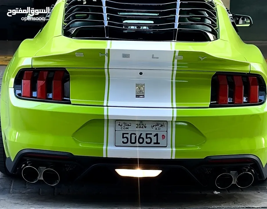 2024 super sneak Shelby body kit