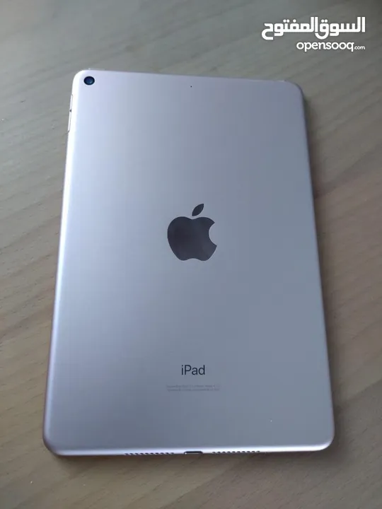 iPad mini 5 for pubg lovers